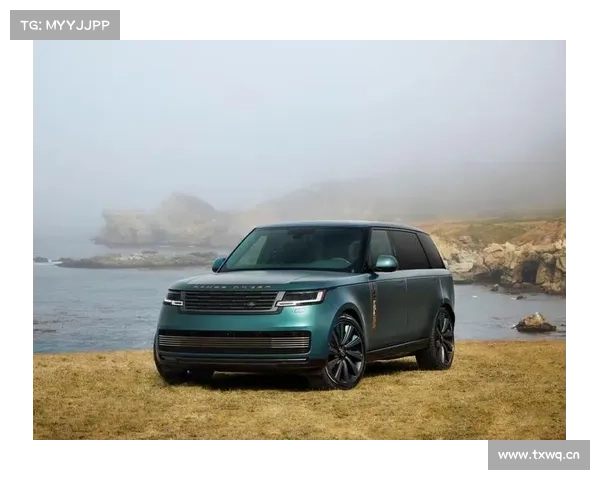 一夜“涨价”十几万！路虎揽胜宣布：豪车税，全额补贴！超豪华车征税标准调整，专家认为“影响可控”