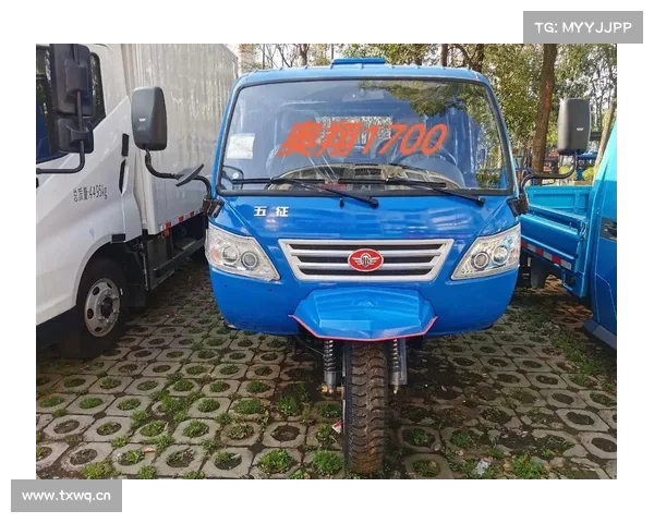 五征农用三轮车亮相欧洲展会，现又推出炫酷卡车