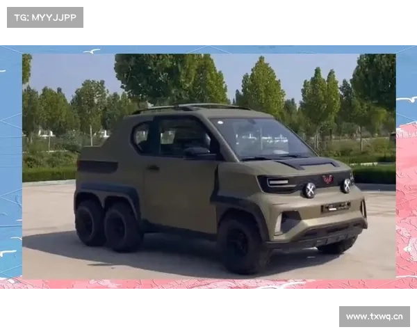 五菱推原厂升级版皮卡，配AT越野胎，自带车顶帐篷，颜值还是亮点