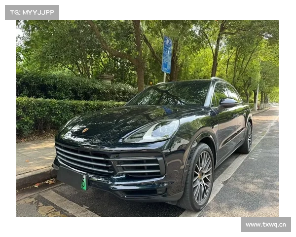 全新保时捷卡宴E-Hybrid插电混动：升级后的浪漫